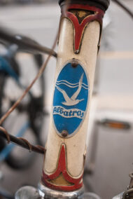 Logo Albatros