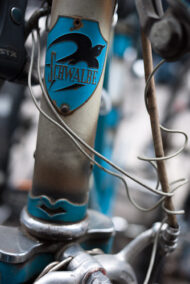 Logo Schwalbe